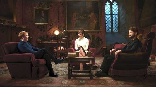 Harry Potter 20th Anniversary: Return to Hogwarts - Backdrop
