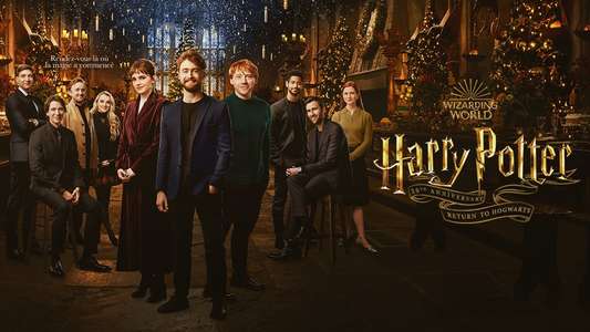 Harry Potter 20th Anniversary: Return to Hogwarts - Backdrop
