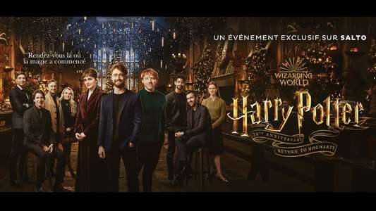 Harry Potter 20th Anniversary: Return to Hogwarts - Backdrop