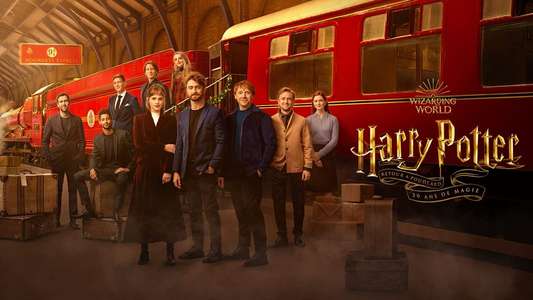 Harry Potter 20th Anniversary: Return to Hogwarts - Backdrop
