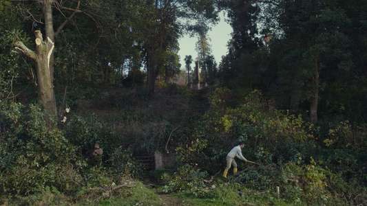 Taming the Garden - Backdrop