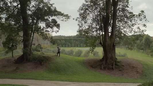 Taming the Garden - Backdrop