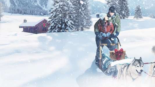 Christmas in the Wilds - Backdrops