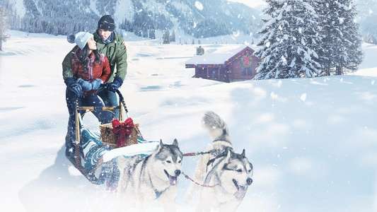 Christmas in the Wilds - Backdrops