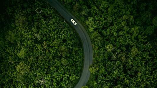 Hillbilly Elegy - Backdrop