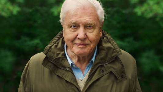 David Attenborough: A Life on Our Planet - Backdrop