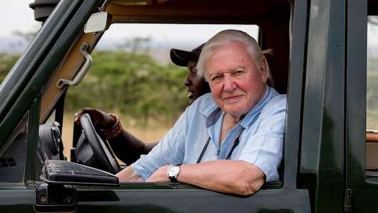 David Attenborough: A Life on Our Planet - Backdrop