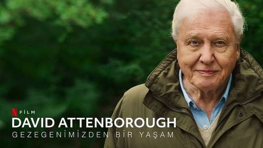 David Attenborough: A Life on Our Planet - Backdrop