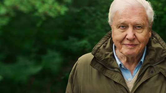 David Attenborough: A Life on Our Planet - Backdrop