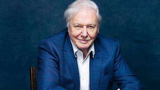 David Attenborough: A Life on Our Planet - Backdrop