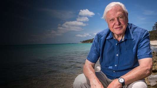 David Attenborough: A Life on Our Planet - Backdrop