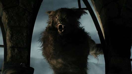 American Werewolves - Backdrop