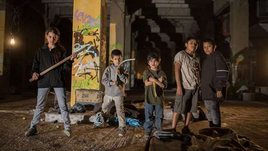 Tigers Are Not Afraid - Backdrops
