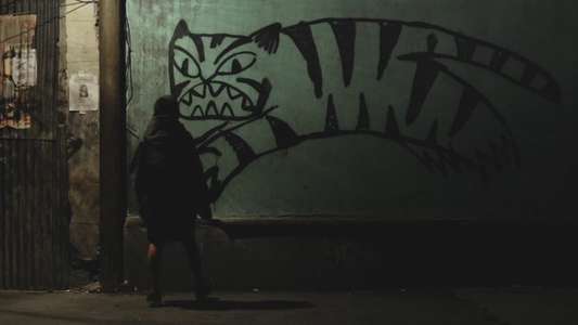 Tigers Are Not Afraid - Backdrops