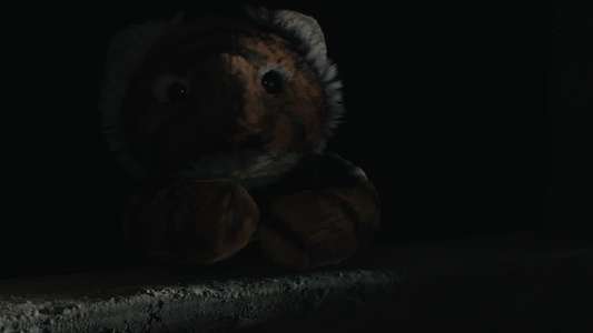 Tigers Are Not Afraid - Backdrops
