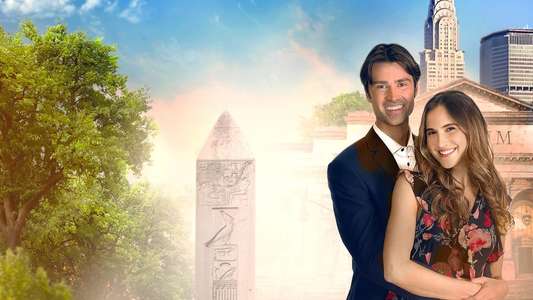 Love in Translation - Backdrops