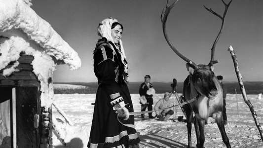 The White Reindeer - Backdrops