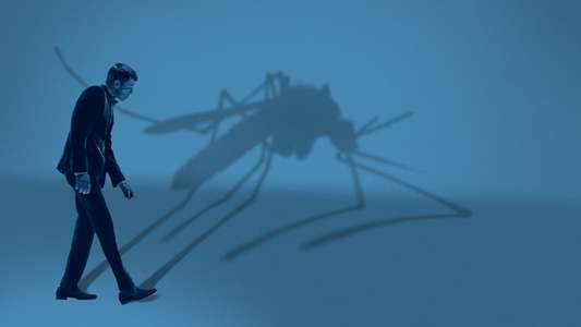 Mosquito State - Backdrops