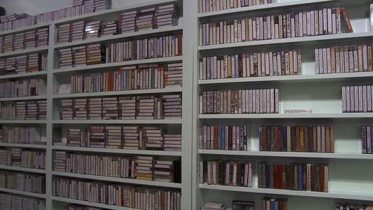Analog Love - Backdrop