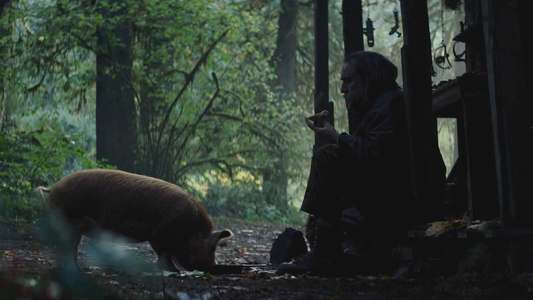 Pig - Backdrop
