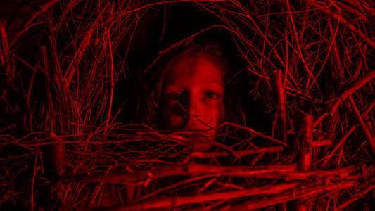 A Classic Horror Story - Backdrop
