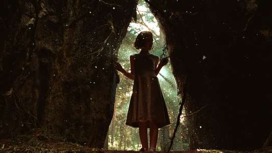 Pan's Labyrinth - Backdrop
