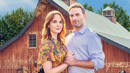 A Whirlwind Wedding - Backdrops