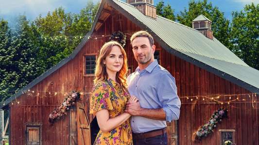 A Whirlwind Wedding - Backdrops