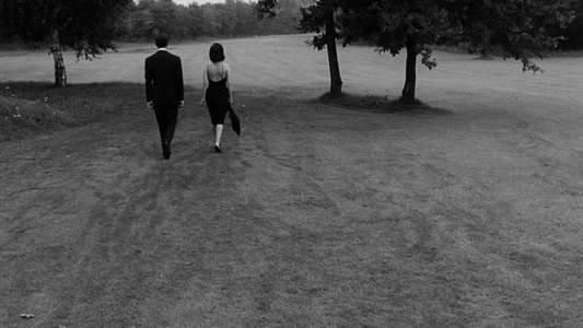 La Notte - Backdrop