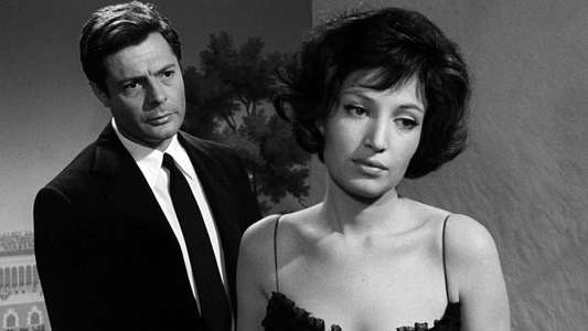 La Notte - Backdrop