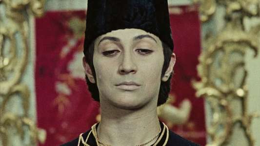 The Color of Pomegranates - Backdrop