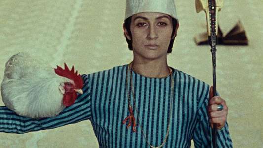 The Color of Pomegranates - Backdrop