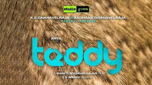 Teddy - Backdrops