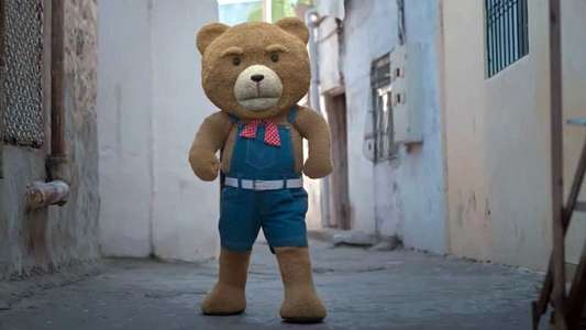 Teddy - Backdrops