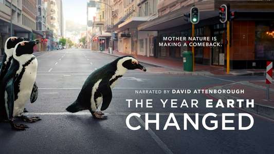 The Year Earth Changed - Backdrop