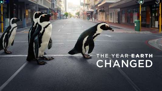 The Year Earth Changed - Backdrop