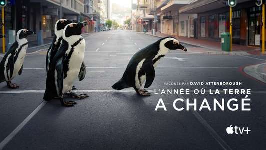 The Year Earth Changed - Backdrop