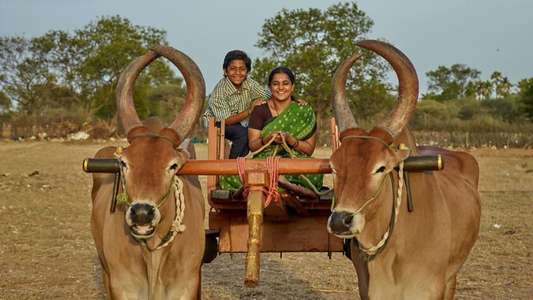 Endraavathu Oru Naal - Backdrop