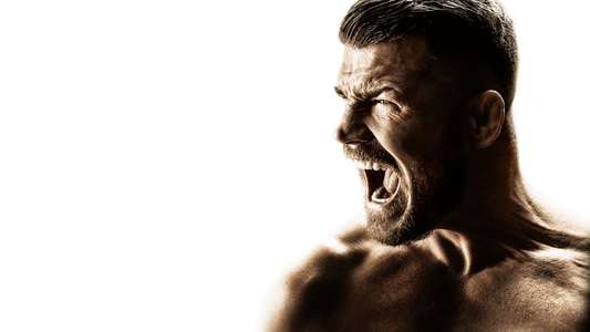 Bisping - Backdrop