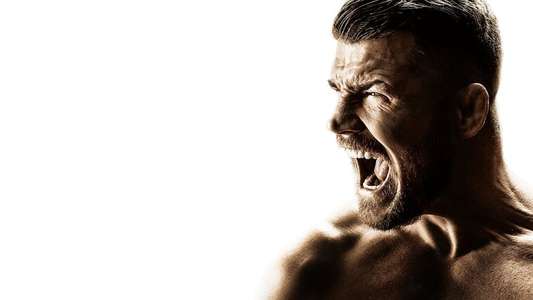 Bisping - Backdrop