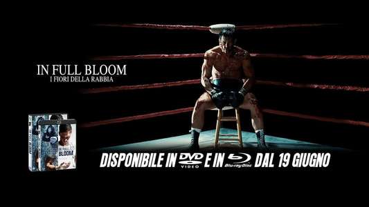 In Full Bloom - Backdrop