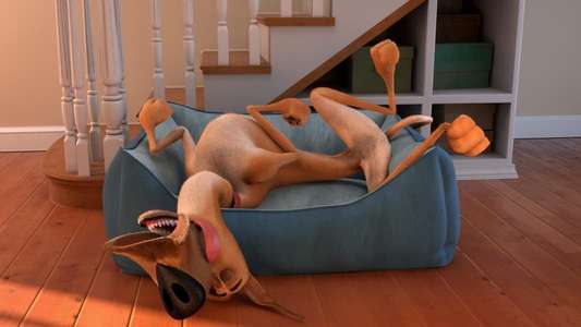 Marmaduke - Backdrop