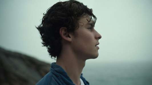 Shawn Mendes: In Wonder - Backdrops
