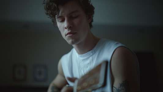 Shawn Mendes: In Wonder - Backdrops