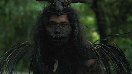 Woman in the Woods - Backdrop