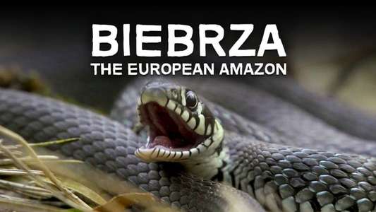 Biebrza: The European Amazon - Backdrops