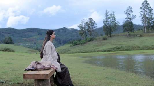 Penguin - Backdrop