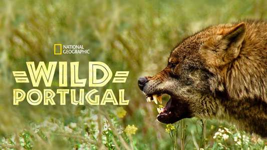 Wild Portugal - Backdrops