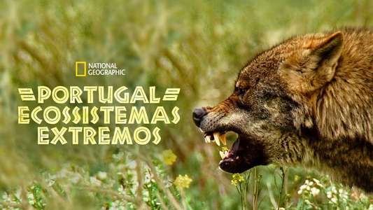 Wild Portugal - Backdrops