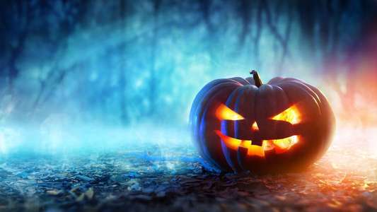 Halloween Party - Backdrop